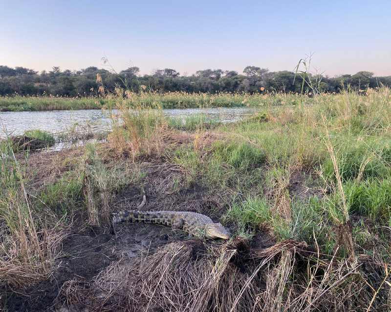 paste here the alt text for accesibility assets