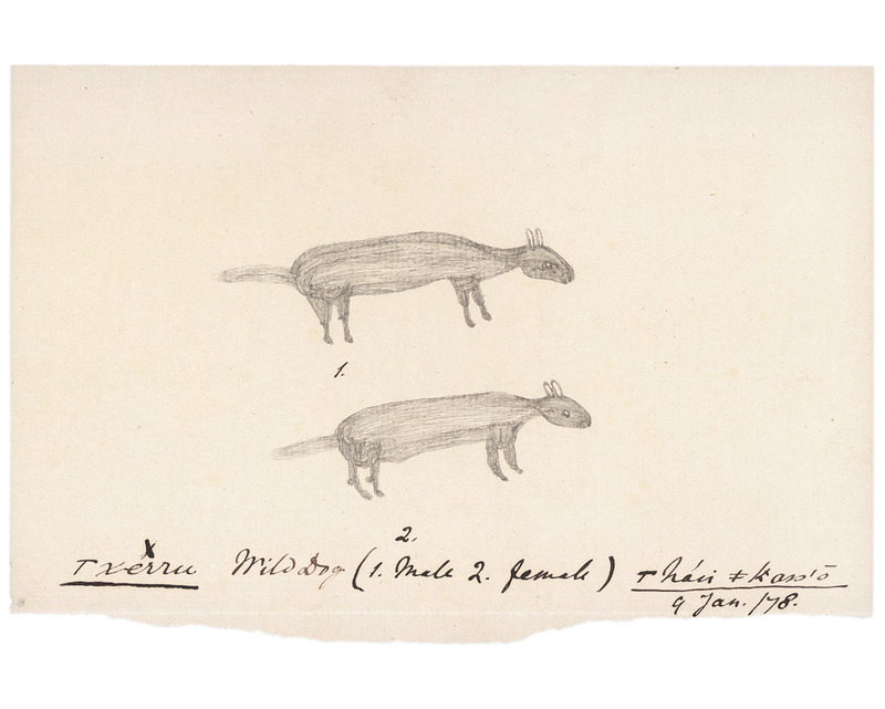 paste here the alt text for accesibility assets