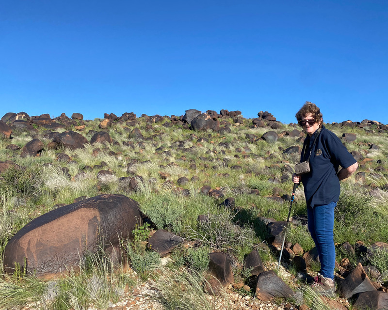 paste here the alt text for accesibility assets